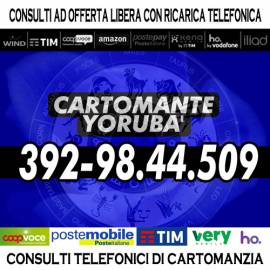 Consulto serio