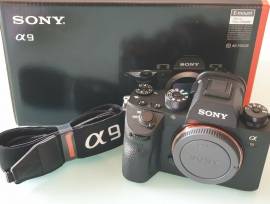 Sony Alpha A9 scatti-1000