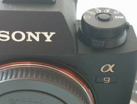 Sony Alpha A9 scatti-1000