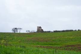 TERRENO AGRICOLO - VIA DELLE PICOZZE, CASTEL SAN PIETRO ROMANO (RM)