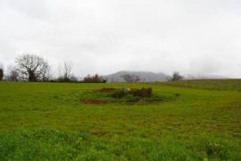 TERRENO AGRICOLO - VIA DELLE PICOZZE, CASTEL SAN PIETRO ROMANO (RM)