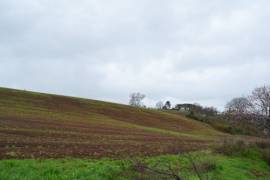 TERRENO AGRICOLO - VIA DELLE PICOZZE, CASTEL SAN PIETRO ROMANO (RM)