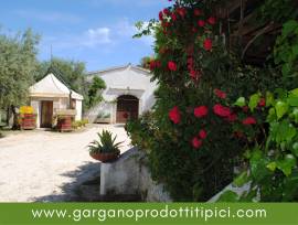 I Vini del Gargano - Tenute Cantine Cimaglia