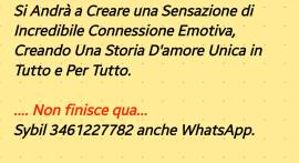 LOVE BOMBING IL MIO BOMBARDAMENTO D'AMORE 3461227782 SYBIL 