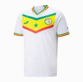 Camiseta Senegal barata y replica 2022 2023