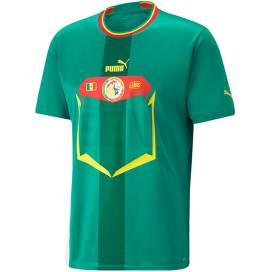 Camiseta Senegal barata y replica 2022 2023