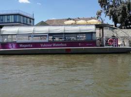 Barca turistica solare elettrica - waterbus
