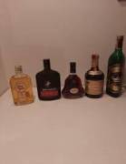 bottiglie di whisky / cognac vintage
