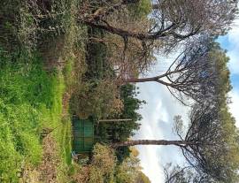 Vendesi terreno agricolo APPIA ANTICA localita' TOR CARBONE in VIA EVODIA