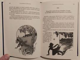 Le avventure di Pinocchio.Storia di un burattino di Carlo Collodi Ed.Giunti,2008