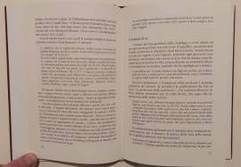 Colombano - Un Santo per l'Europa di Paolo Gulisano Editore: Ancora Editrice, Milano 2007