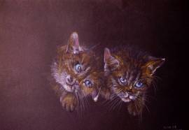 Ritratto pet cane gatto da tua foto disegno matita 24 ore cuccioli gattini cavallo pappagallo topi
