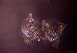 Ritratto pet cane gatto da tua foto disegno matita 24 ore cuccioli gattini cavallo criceto canatrino