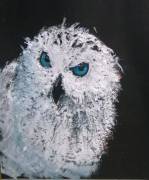 Ritratto pet cane gatto da tua foto disegno matita 24 ore cuccioli gattini cavallo criceto canatrino