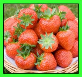 Fragole rifiorenti e rare