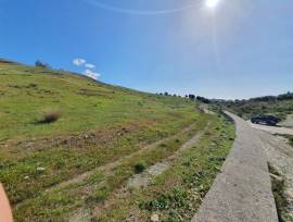 Terreno agricolo 