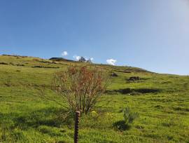 Quote 2ha terreno agricolo irriguo