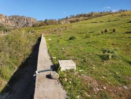 Terreno agricolo 