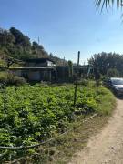 Monte Sant' Angelo Palazzina da ristrutturare su  ampio appezzamento a vigneto 