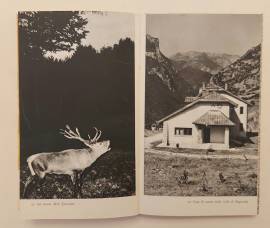 La caccia in Jugoslavia di Bogdan Pesic Ed.Jugoslavija, Beograd 1970?