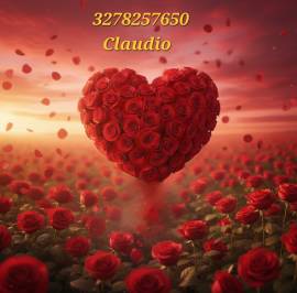 Cercasi donna accompagnatrice 