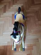 Cavallo a dondolo antico