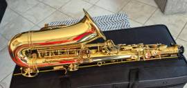 Sax Alto LIEN CHENG A 601 Revisionato (Garanzia)