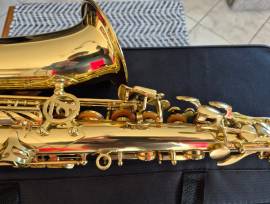 Sax Alto LIEN CHENG A 601 Revisionato (Garanzia)
