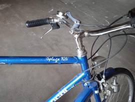 Bicicletta Bianchi Vintage, modello " Spluga 10 V