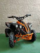 MINIQUAD DEFENDER XXL E-START 49 cc R6