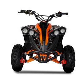 MINIQUAD DEFENDER XXL E-START 49 cc R6