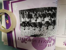 Fumetti e Riviste - Tex- Cino e Franco- La Fiorentina -Archeo ecc..