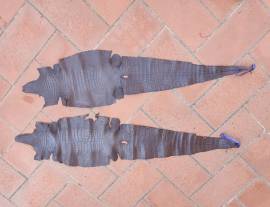 Pellami Esotici e Pregiati