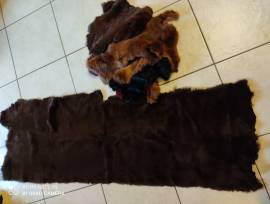 Pelli i9n Pelo per Abbigliamente -Arredamento- Calzatura ecc-..
