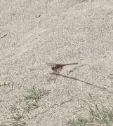 Conoscersi per sapere OFFRO GRATUITA