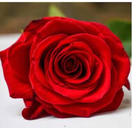 Le carte sono uno specchio del tuo mondo interiore.