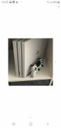 SONY PS4 PRO 1 TB