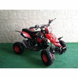 MINIQUAD RAPTOR 49CC R4