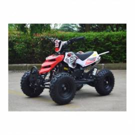 MINIQUAD RAPTOR XXL 49CC R6