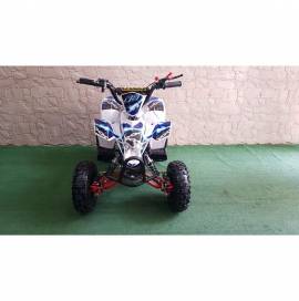 MINIQUAD FOX XXL 50CC 2 TEMPI RACING 