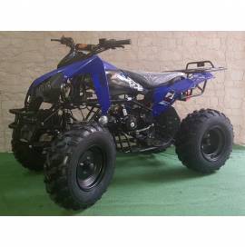 QUAD WARRIOR BIG 125CC R10