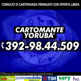 Yoruba il Cartomante