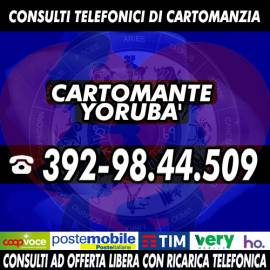 Yoruba il Cartomante