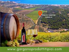 I Vini del Gargano | Tenute Cantine Cimaglia - Vieste 