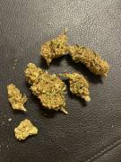 Cannabis cbd Confezionata/sfuso