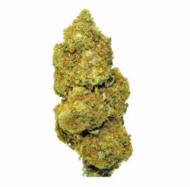 Cannabis cbd Confezionata/sfuso
