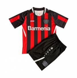 Fake Bayer Leverkusen shirts & kit