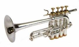 Lezioni di tromba e trombone online