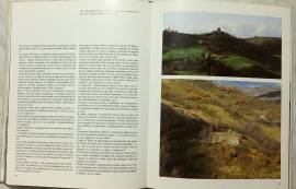 Francesco Poverello di Dio di Dante Alimenti Editrice Velar, BERGAMO, 1982 come nuovo 