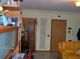 PESCARA, Via Remo Ronchitelli, affitto intero appartamento ben arredato.